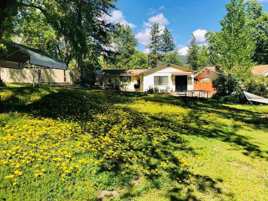 Sierra Sunset Cottage -Yosemite Area Vacation Cottage Ahwahnee Exterior foto